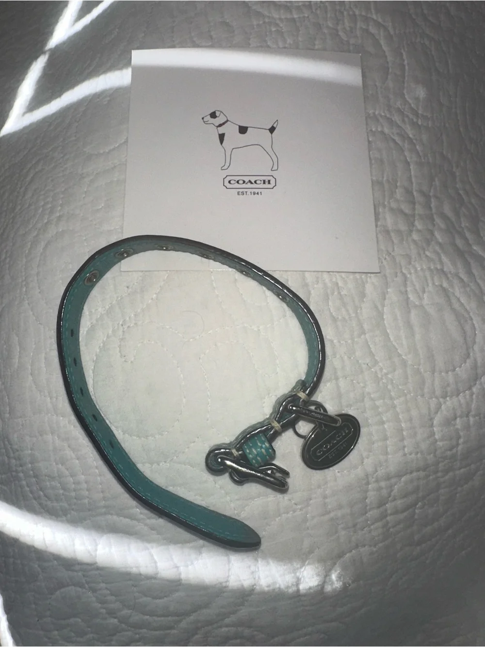 Coach XS Teal Leather Dog Collar with Silver Hardware
